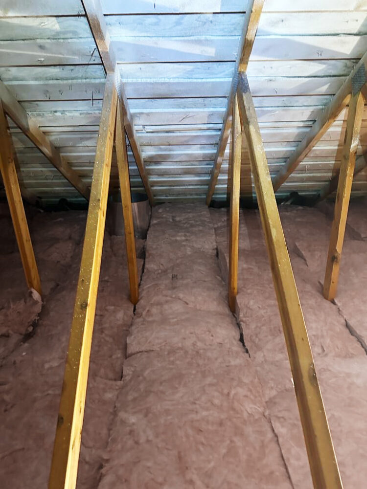 Attic Insulation Replacement With Mold Remediation Treatment