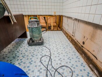 Mold Remediation Near Me Battle Ground Wa