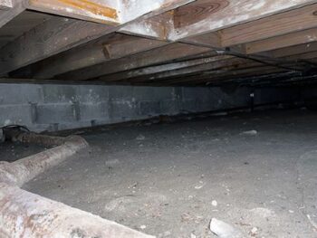 Crawl Space Cleaning Near Me Battle Ground WA