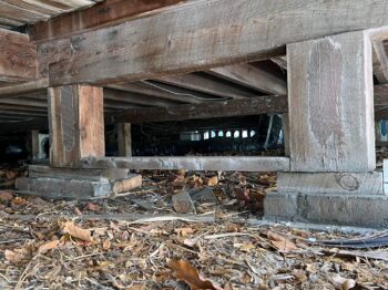 Crawl Space Cleaning Olympia WA