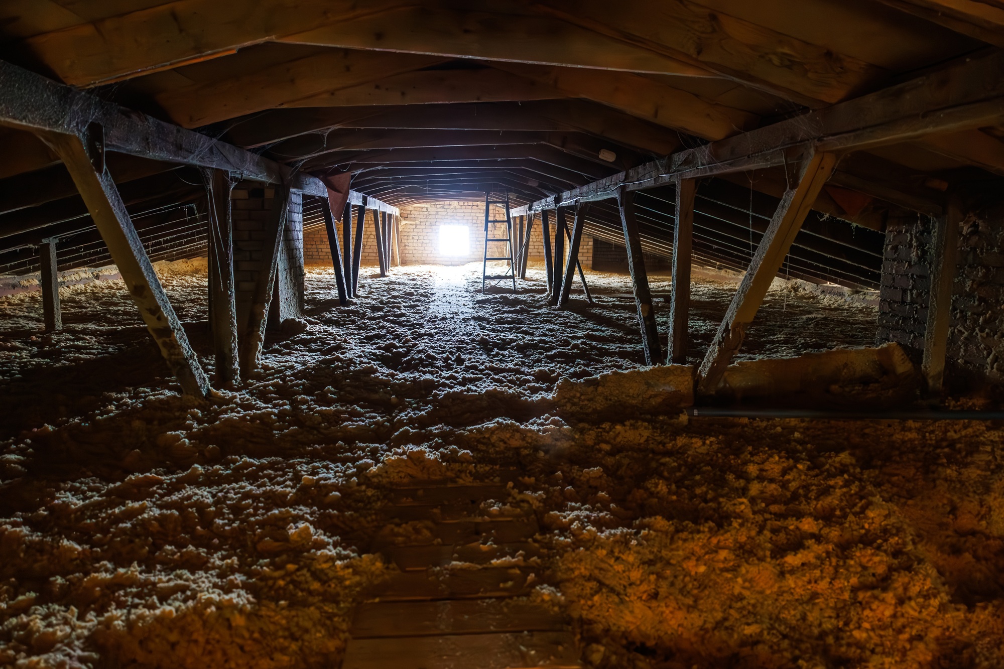Crawl Space Cleaning Olympia WA